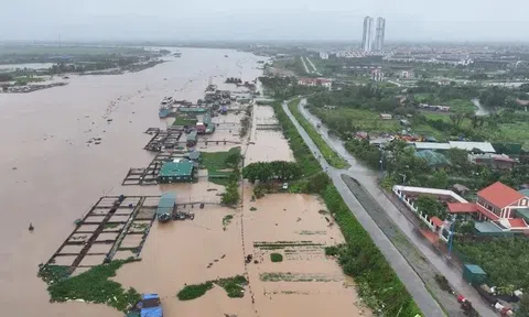 Hải Dương: Nước sông Thái Bình dâng cao, phát báo động cấp 2