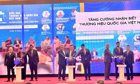 Đổi mới sáng tạo: Chìa khóa để thương hiệu Việt bứt phá trên trường quốc tế