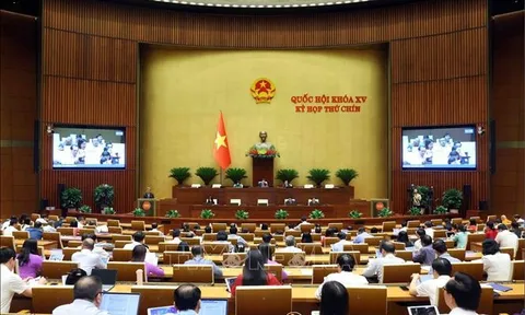 Việt Nam có cần quy định về sở hữu trí tuệ đối với AI?