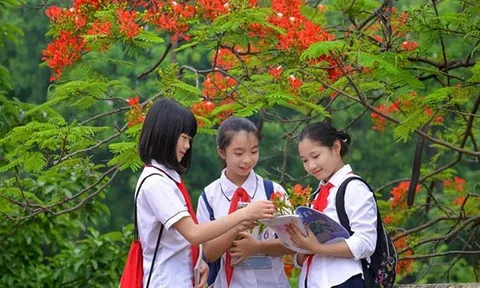 Thủ tướng Phạm Minh Chính chỉ đạo 3 vấn đề nóng trong giáo dục