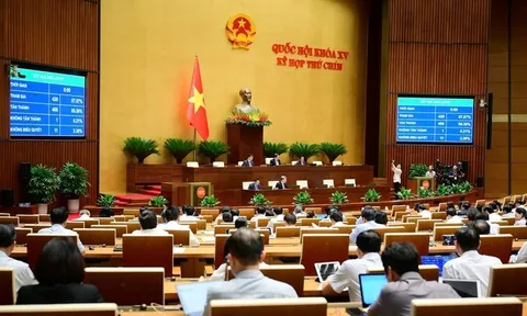 Thông qua Luật Chất lượng hàng hóa: Gia tăng các quy định về bảo vệ người tiêu dùng