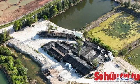 Xưởng hàu ‘Ba không’ trong khu dân cư – Khi quy mô vượt tầm quản lý