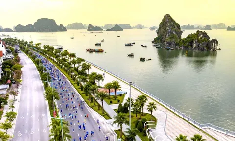 Quảng Ninh tổ chức Giải Marathon quốc tế Di sản Hạ Long 2023