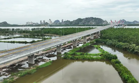 Thông xe cầu Bến Rừng: Tăng cường hợp tác, kết nối khai thác lợi thế Quảng Ninh - Hải Phòng