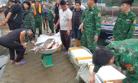 Quảng Ninh: Chủ động đấu tranh ngăn chặn hoạt động buôn lậu vùng biên