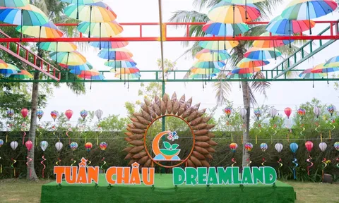 Tuần Châu Dreamland - Hệ thống giáo dục trải nghiệm đầu tiên tại Hà Nội