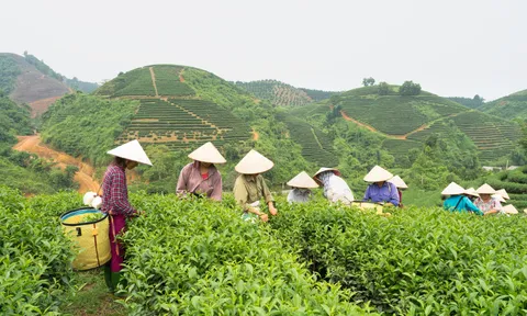 HTX nhận Giải thưởng “Sản phẩm Dịch Vụ Chất Lượng Cao Được Người Tiêu Dùng Yêu Thích Năm 2024”  tại Lễ kỷ niệm Ngày Chống Hàng Giả, Hàng Nhái 2024.