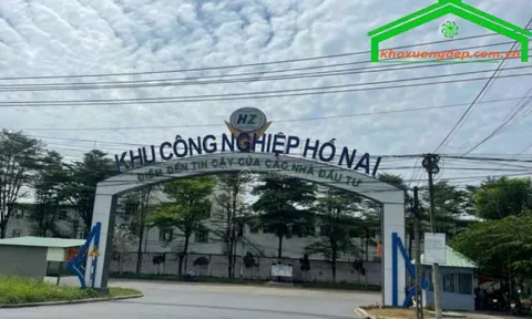 Công ty Khu Công nghiệp Hố Nai: Chiếm hơn 87.000m2 đất, gánh khối nợ khổng lồ