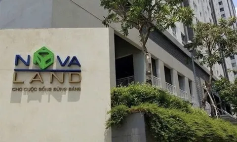 Gam màu thật trong bức tranh tài chính của NovalandEm