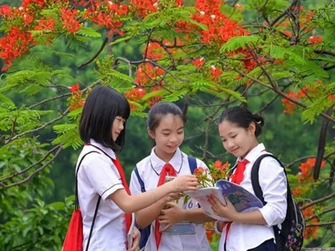 Thủ tướng Phạm Minh Chính chỉ đạo 3 vấn đề nóng trong giáo dục