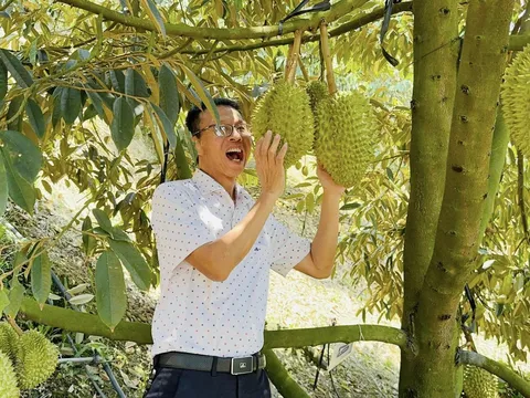 Sầu Riêng Pa Hưng: Tiên phong nông nghiệp bền vững, chinh phục thị trường quốc tế