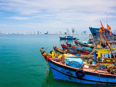 Quảng Ninh: Xử lý nghiêm các hành vi khai thác thủy sản bất hợp pháp