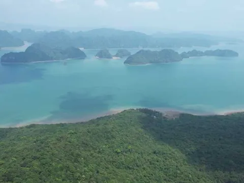 Bảo tồn hệ sinh thái biển Vườn Quốc gia Bái Tử Long