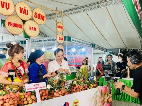 Chuyển đổi số góp phần hình thành những thôn, xã thông minh