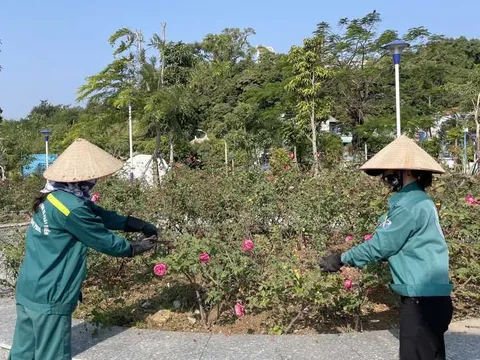 Thành phố Cẩm Phả - thành phố triệu đóa hoa hồng