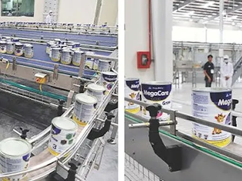 MEGA MILKY : Chăm sóc sức khỏe gia đình Việt