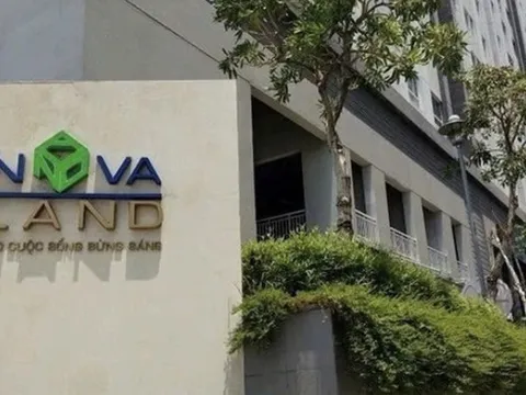 Gam màu thật trong bức tranh tài chính của NovalandEm